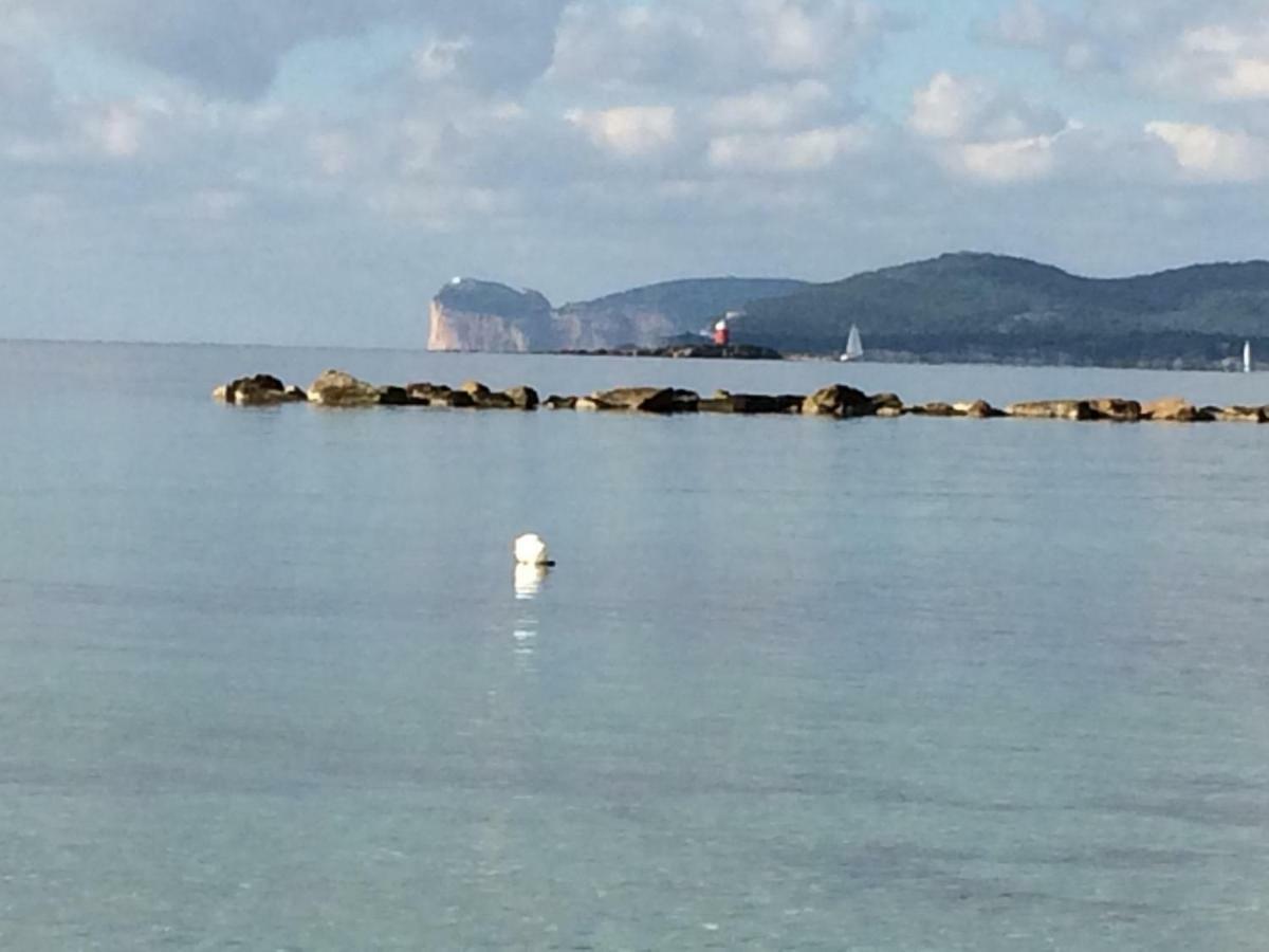 Lejlighed Fronte Lido